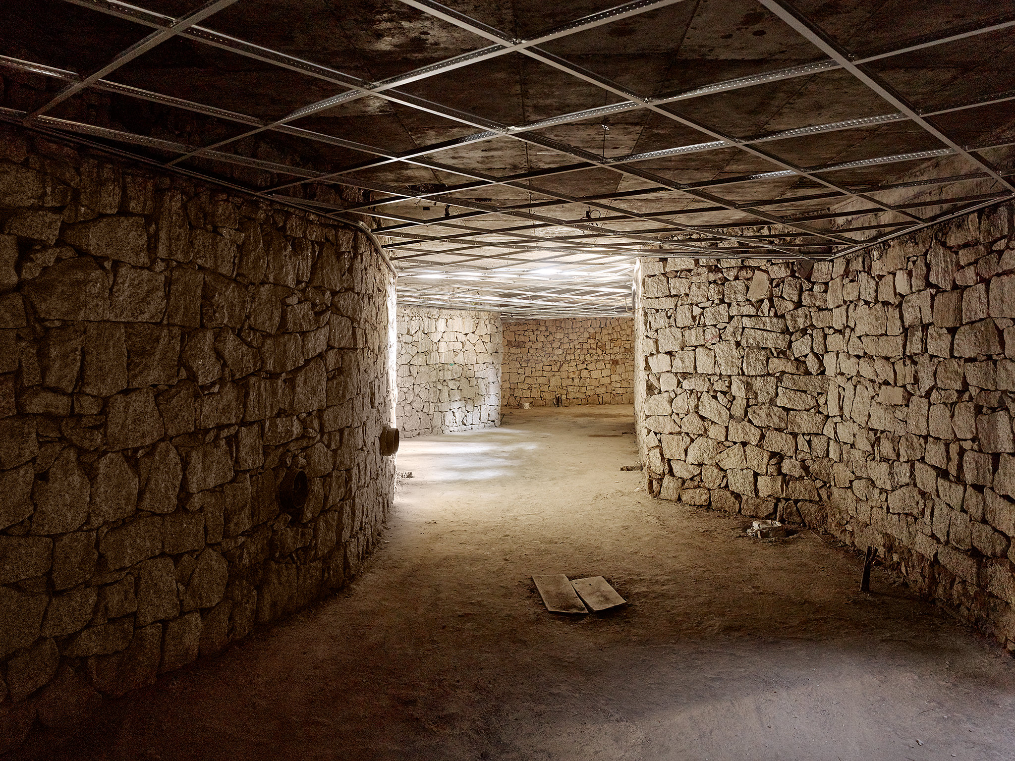 Nocturnal Animal House, Kamla Nehru zoological garden, Ahmedabad